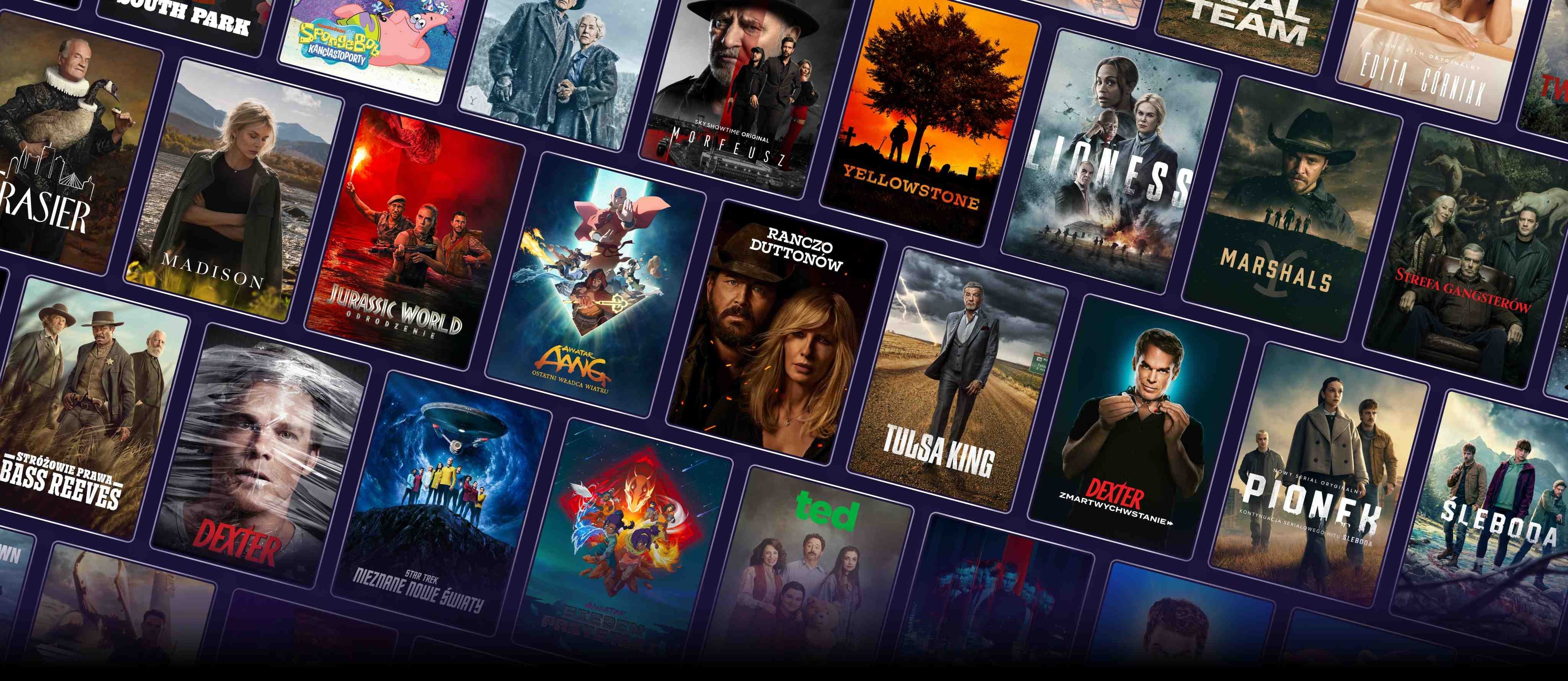 Promo banner