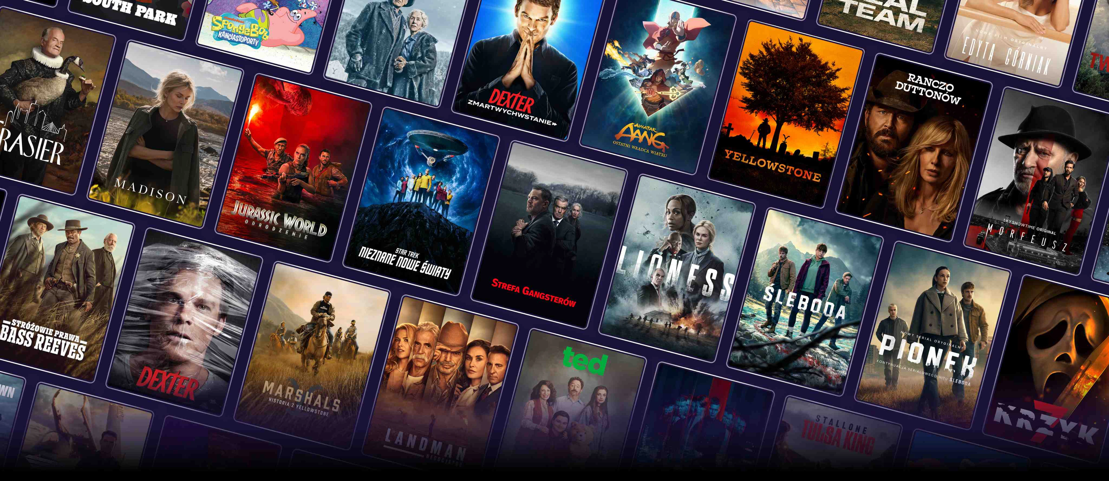 Promo banner