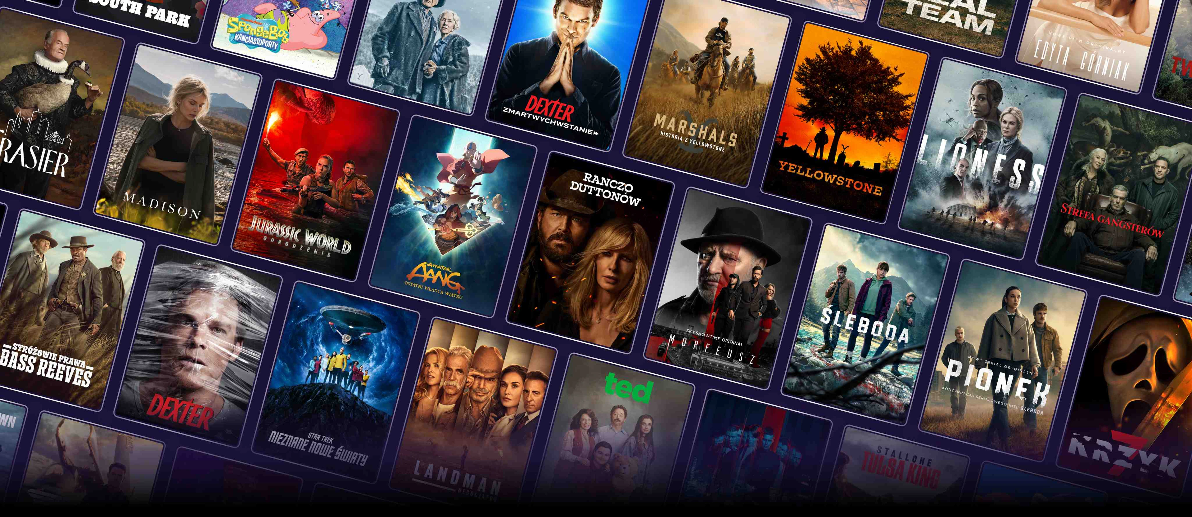 Promo banner