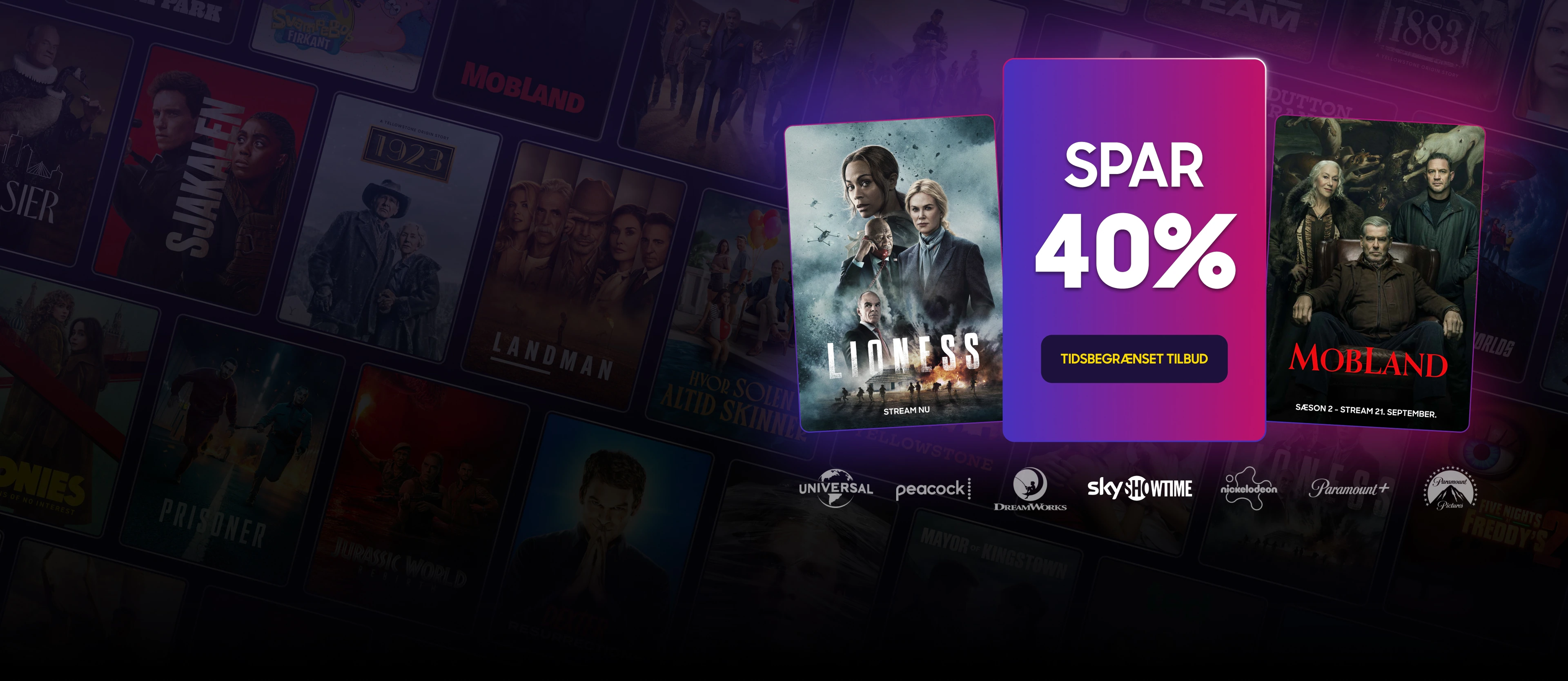 Promo banner